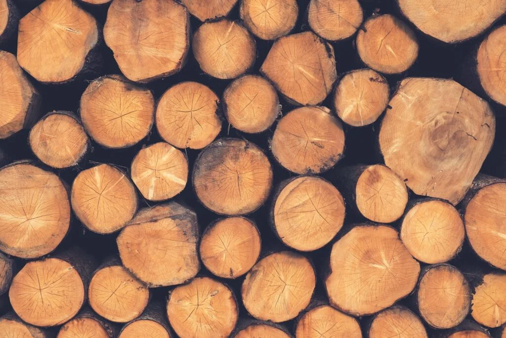 tipos de madera en costa rica